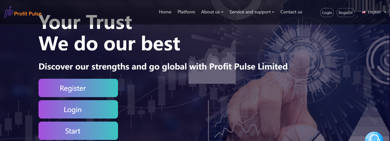 Profit Pulse Limited