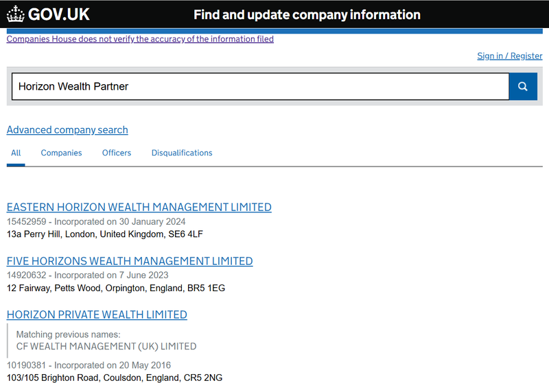 Companies House Query Result