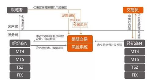 跟单5