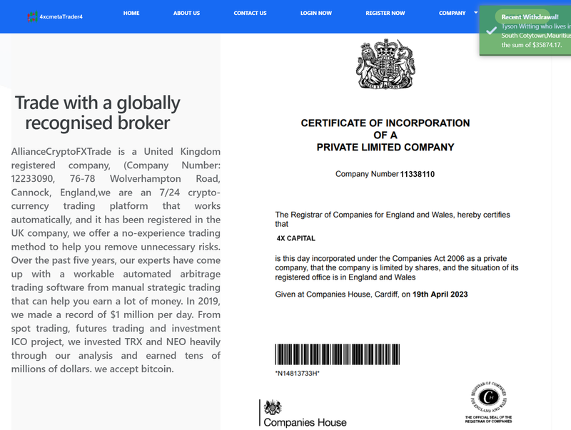 官网展示的英国实体注册信息