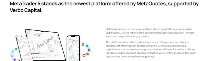 platform of Verbo Capital