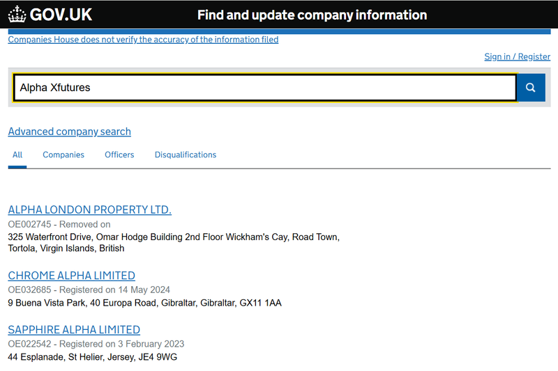 Companies House Query Result