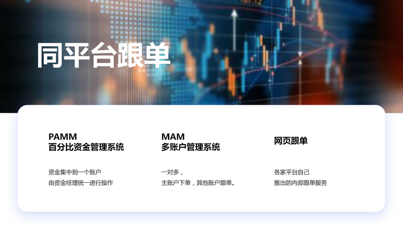同平台跟单_011.png