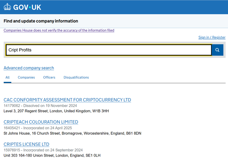 Companies House Query Result