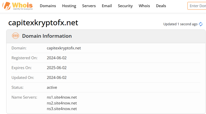 Whois lookup results