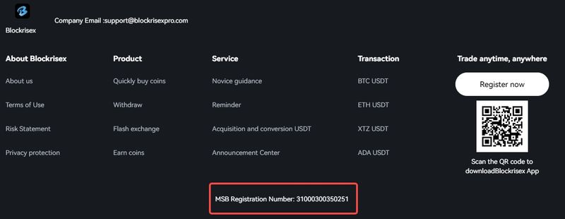 Blockrisex 官网页尾展示的信息