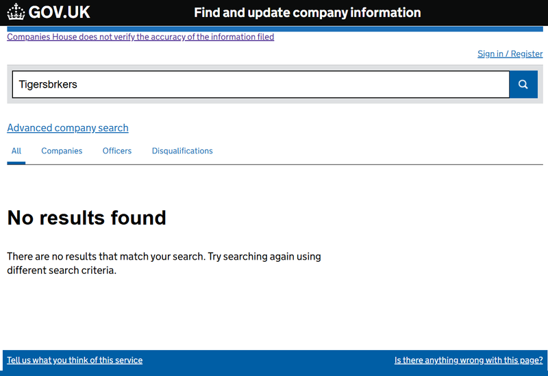 Companies House Query Result