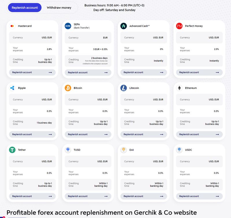 Gerchik & Co 存款方式