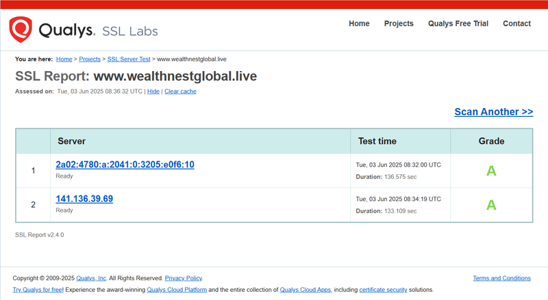 Qualys Query Result