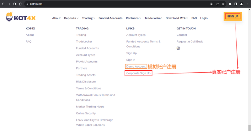 官网显示账户注册信息1