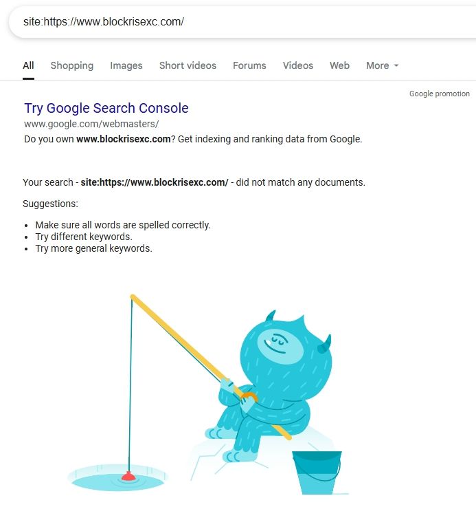 การค้นหาที่ชื่อโดเมนในเครื่องมือค้นหาหลัก (เช่น Google) ก็ไม่พบการรวมไว้อย่างแท้จริง