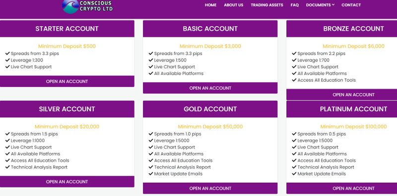 Conscious Crypto Ltd的账户类型