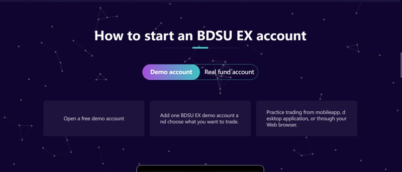 BDSU EX的账户类型