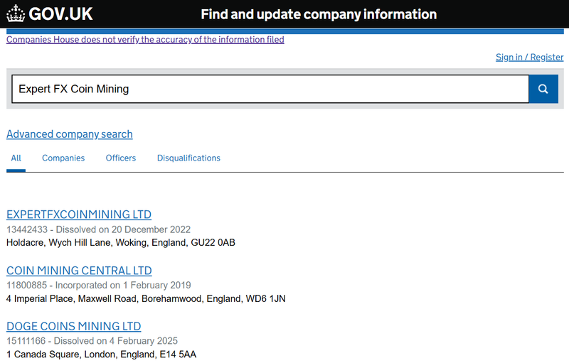 Companies House Query Result