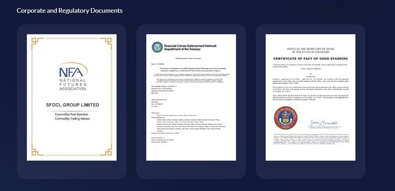 SFOCL官网上的公司及监管文件板块