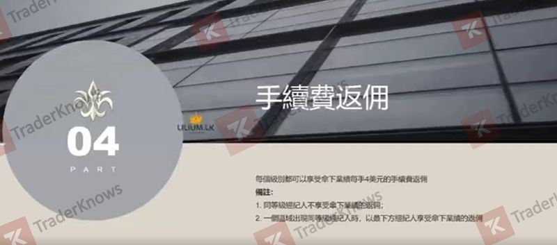 โหมดการดำเนินการของ LILIUM 百合 外汇 (2)