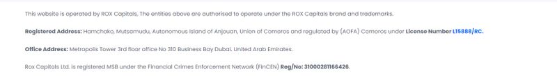 Antecedentes de la empresa Rox Capitals