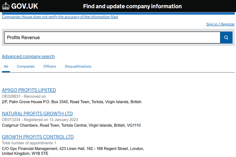 UK Companies House Query Result