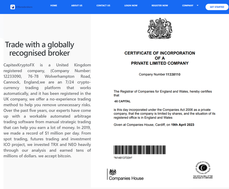 公式で表される英国法人登録情報