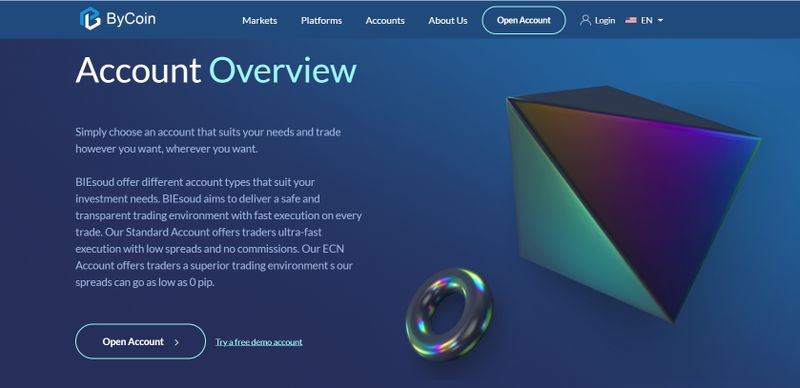 web design of BIEsoud