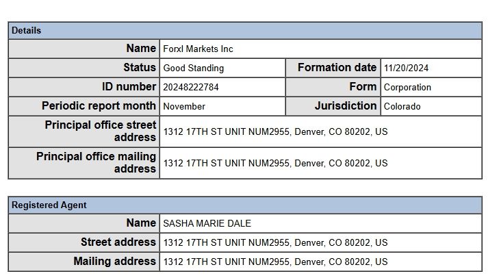Registration Information Can Be Queried Through the Colorado Business Database