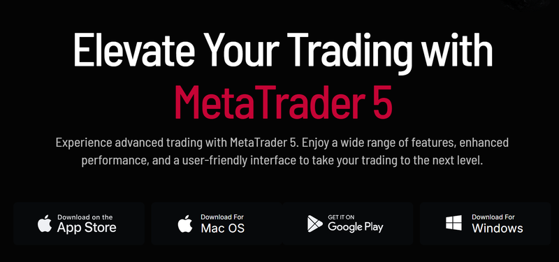 MT5