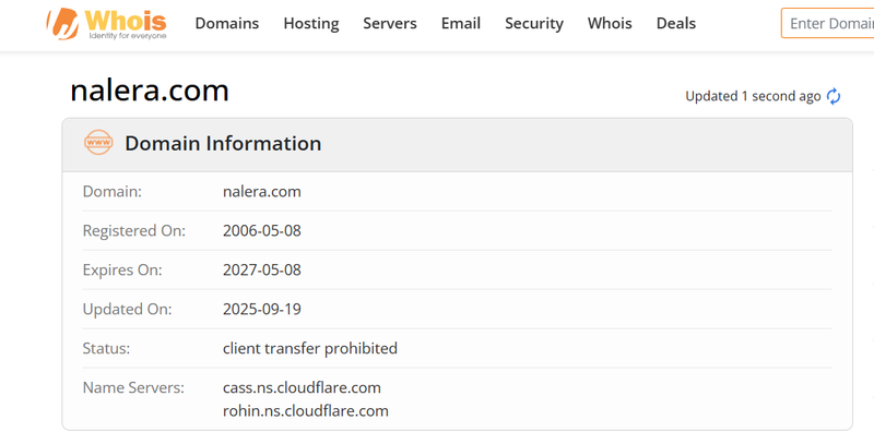 Domain Information and Website History