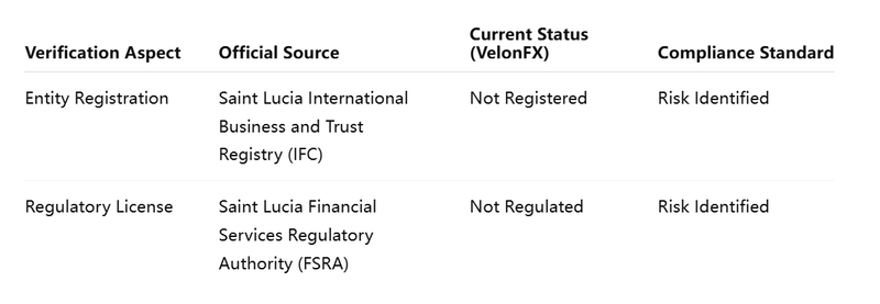 Dual Verification Form