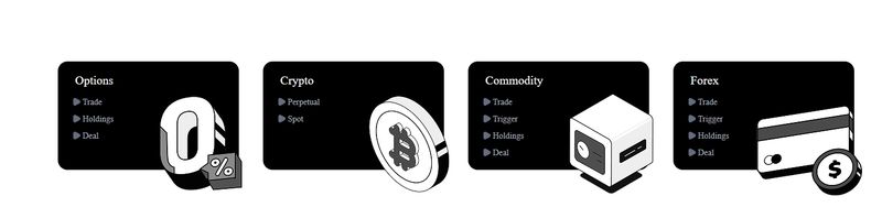 EVCRY 在其期权(Options)板块的宣传图中打出了“0%”的标识