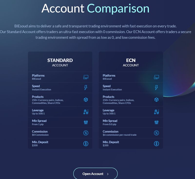 Account Types at BIEsoud