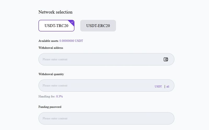 提现手续费(Handling fee)为 0.3%。