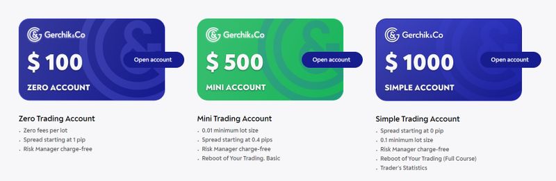 Gerchik & Co 账户类型