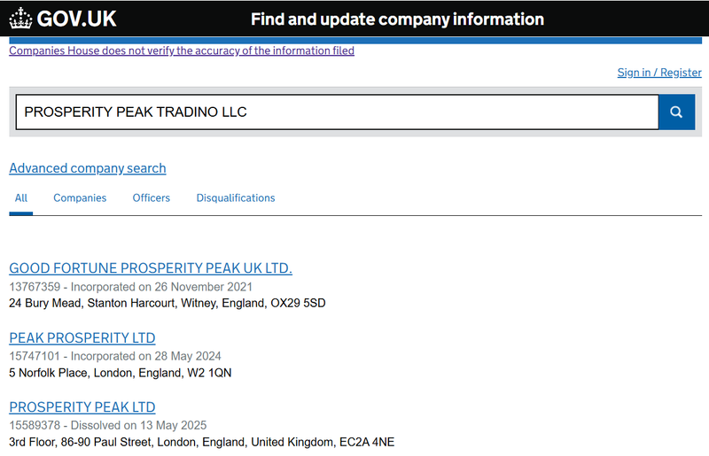 Companies House Query Result
